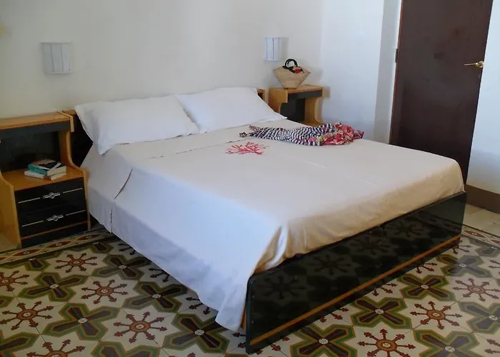 Stella D'oro וילסימיוס